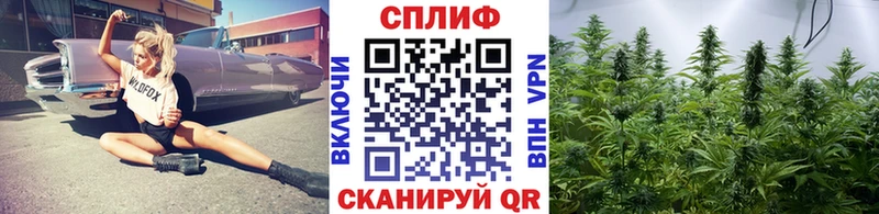 Марихуана семена  Купить закладки  Горнозаводск 